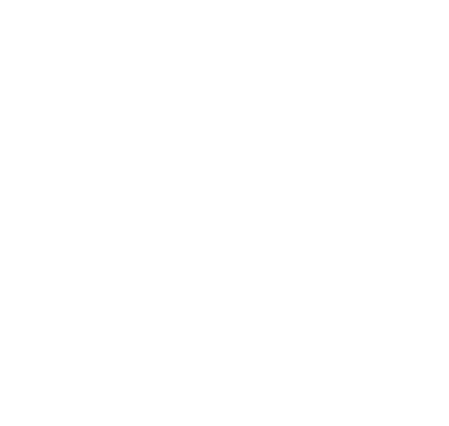 Stakeford Scouts Logo